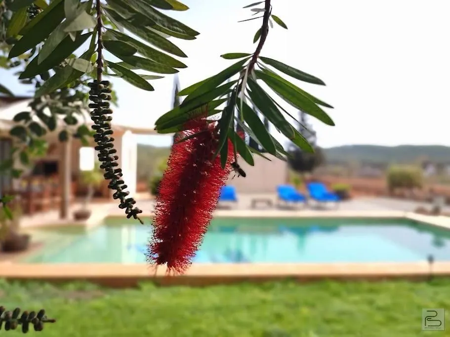 Casa Bet Con Piscina Y Jardin. Villa Sant Miquel De Balansat 0*,  Spain